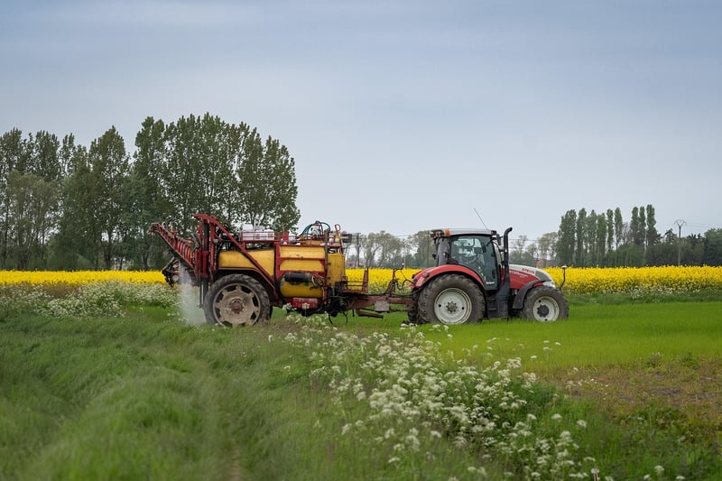 Healthy Soil